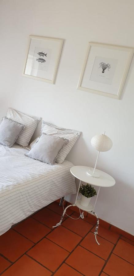 Comporta House Villa Ngoại thất bức ảnh